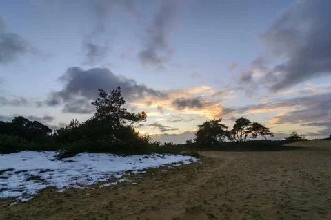 Moving red clouds over sand dunes reserve with pine trees and snow Stock Footage 93862285