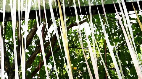 Moving ribbon by the wind Stock Footage 47012645