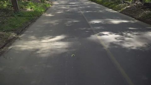 Moving Road Shot Daytime Shadows and Line Stock Footage 129457751