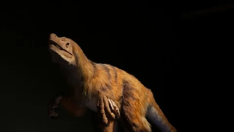 Moving robot dinosaur closeup Stock Footage 94961253