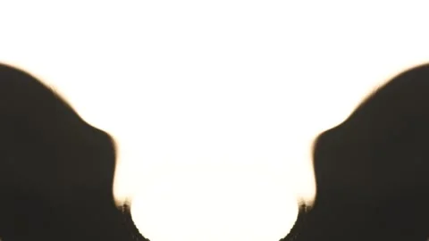 A moving Rorschach Stock Footage 256097381