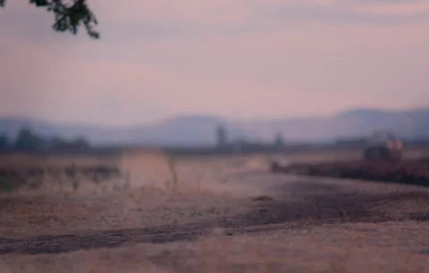 Moving safari car Stock Footage 161414812