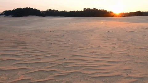 Moving sand in storm wind over sand dunes at sunrise Video stock 99152640