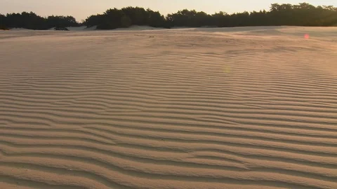 Moving sand in storm wind over sand dunes at sunrise Video stock 99153011