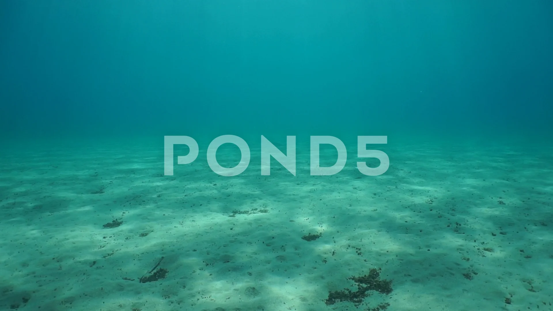 Underwater sandy seabed in Mediterranean, Stock Video
