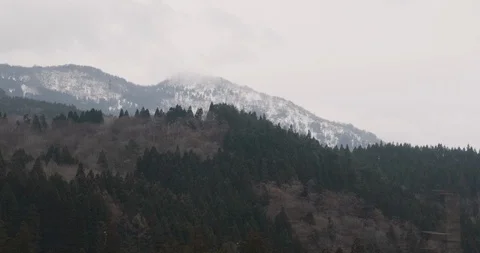 Moving scenery of mountains and forest seen from train window. Beatiful view of Stock-Footage 123825332