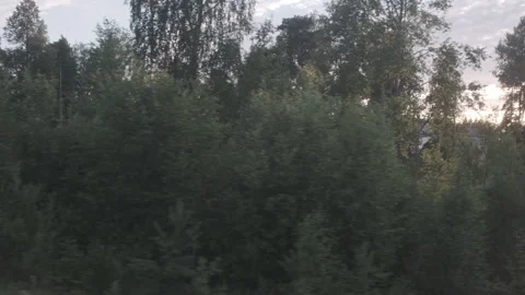 Moving scenery of trees against beautiful sky. Train view of forest at sunset. 動画素材 146511720