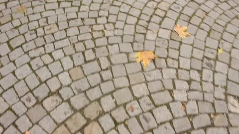 Moving Sett Road and Fall Leaves, Beautiful Pattern Stock Footage 85982486