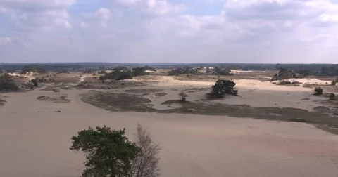 Moving shadow and sunlight across drifting sand area Kootwijkerzand Stock Footage 75359666