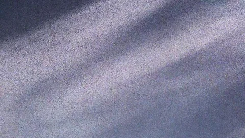 Moving shadow of leaves on a background of gray wall. Stock Footage 119154263
