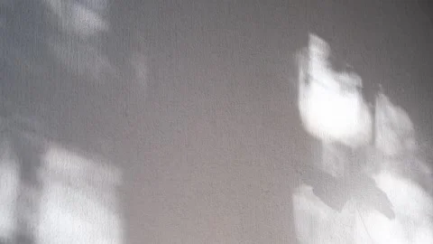 Moving shadows on ivory white textured wall, casting floral Video stock 332708235