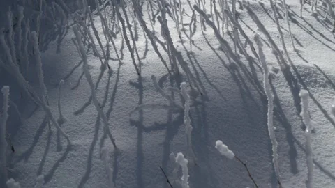Moving shadows on the snow, time lapse. Stock Footage 336003695