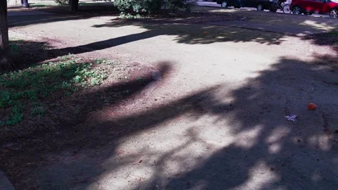 Moving shadows of trees in a park, reflecting on the ground Stock Footage 303772704