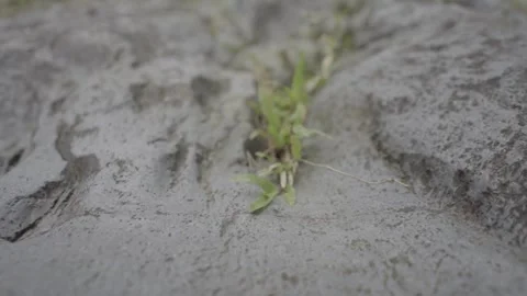 Moving shoot at the rocks Stock Footage 270940950