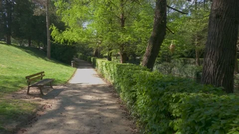 Moving shot along side of Marne river, Chalons en Champagne, France Stock Footage 153468970