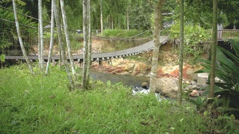 Moving-in shot framing the trees towards the river bank Stock Footage 93594381