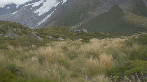 Moving shot of a meadow bordered by mountains, in New Zealand Stock Footage 217401003