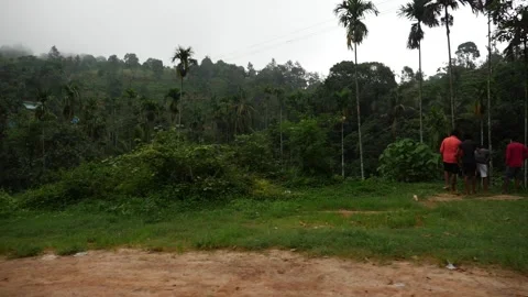 Moving shot of men looking at coconut trees Stock Footage 156970009
