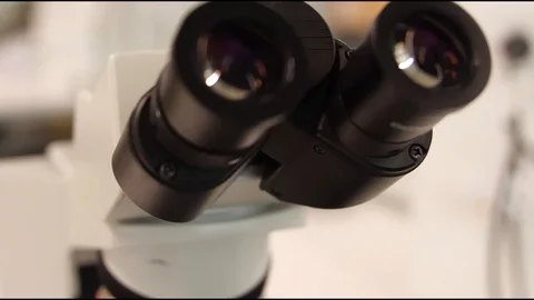 Moving shot of microscope Stock Footage 127155454