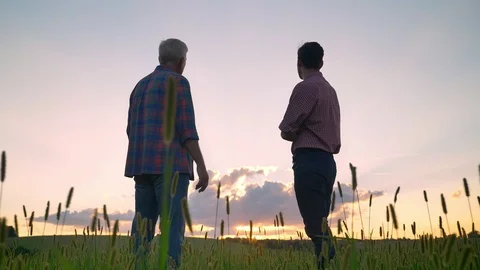 Moving shot of old dad watching beautiful sunset with his adult son, standing Video stock 93928316