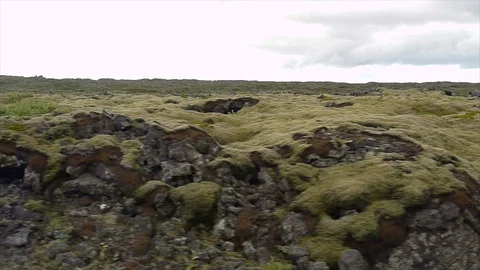 Moving shot pointed out of car window displaying fields of rocks and moss Stock Footage 86754550