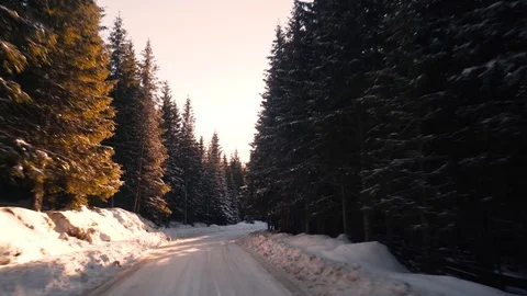 Moving shot of a road with a pine forest covered in snow Stock Footage 83758150