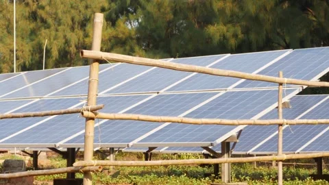 Moving shot of solar panels in a row Stock Footage 151909387