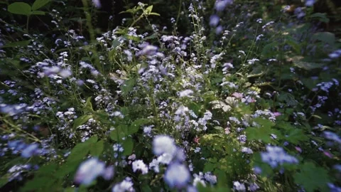 Moving shot through blue and purple flows that go out of focus Video stock 130910897