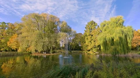 Moving sideways through public city park in autumn with colorful leaf trees.. Stock Footage 255636239