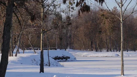 Moving sideways tracking shot of a serene winter landscape with foreground 스톡 동영상 322062509