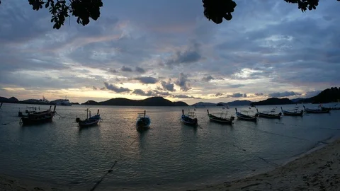 Moving silhouette branch leaves tree , long tail boat tie with rope parking a Vídeo Stock 101403238