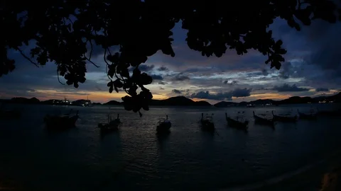 Moving silhouette branch leaves tree , long tail boat tie with rope parking a Stock-Footage 101405652