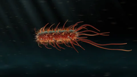 Moving single bacteria Video stock 98557931