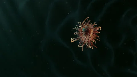 Moving single bacteria Stock Footage 98557975