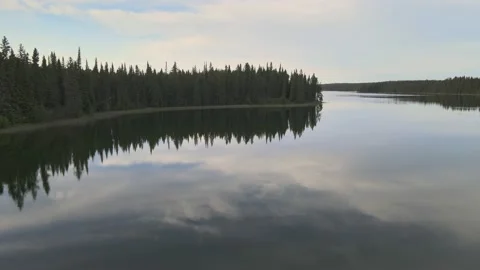 Moving slowly forward above a very calm northern lake with spruce trees Stock Footage 230263458