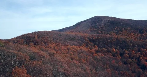 Moving slowly over the autumn trees in the appalachian mountians Stock Footage