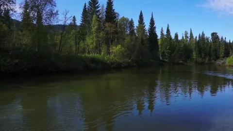 Moving slowly with the river flow Stock Footage 81662839