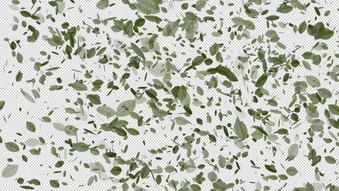 Moving small and large green leaves across the entire screen Vidéo 321010783