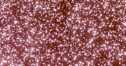 Moving soft beautiful pink particles with bokeh effect background Video stock 253058426