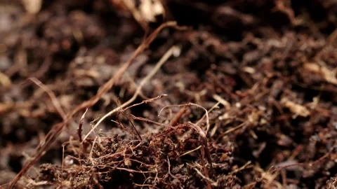 Moving soil dirt Stock Footage 150877179
