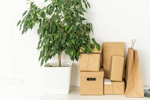 Moving in. Stack of cardboard boxes in the empty room with copy space Foto stock