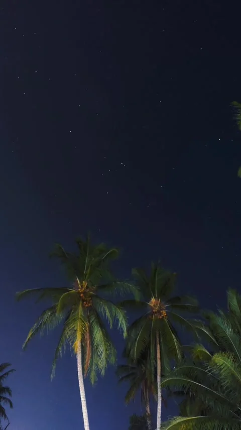 Moving star timelapse 動画素材 243518016