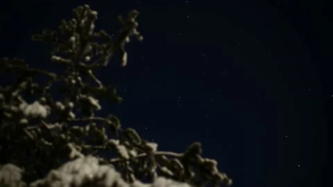Moving stars behind winter tree Stock Footage 150883393