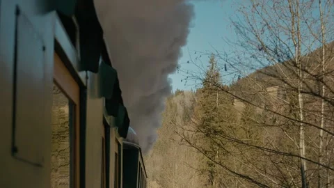 Moving steam train Mocanita through winter forest with snow and trees Stock Footage 346717589