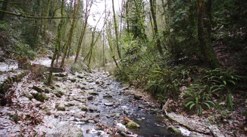 Moving Up Stream Bed Aerial Video stock 33738148