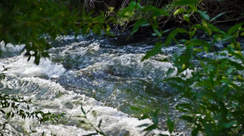 Moving Stream HD Video stock 34147958