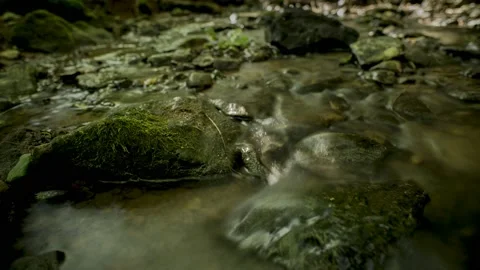 Moving Stream - Timelapse - 4K - 23.98 fps - England - UK Stock Footage 147508223