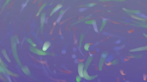Moving stripes on purple background 库存影片 50310612
