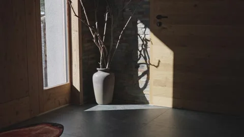 Moving sunlight casting shadows from a vase with dry branches in a modern rustic Stock Footage 335198875