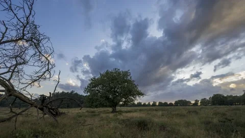 Moving sunset clouds over a natural field with a fallen tree. Video stock 158479329